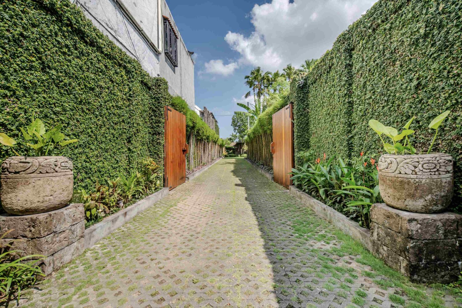 The ivy-lined driveway up to the villa